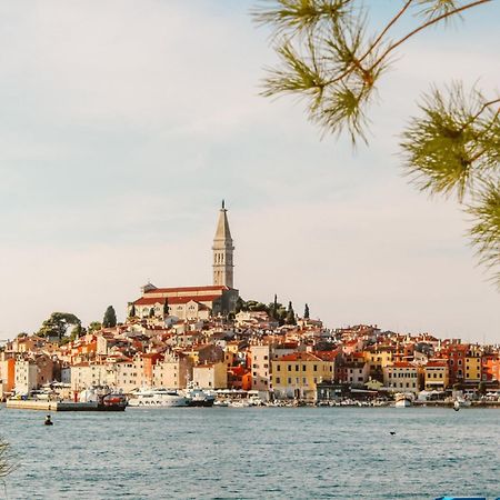 Summer Dream, Center Of Rovinj Bagian luar foto